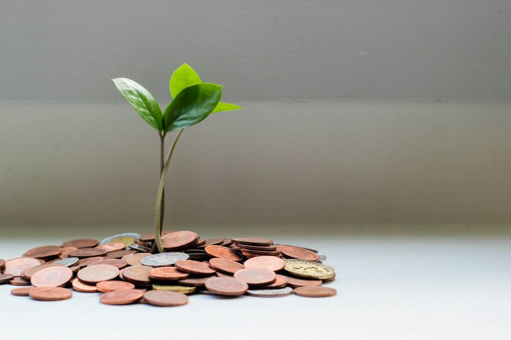 Transform Your Money Mindset in 3 Months: Embrace Prosperity